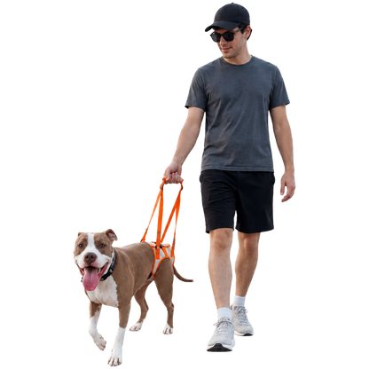 Dog Rear Leg Lift Support Harness