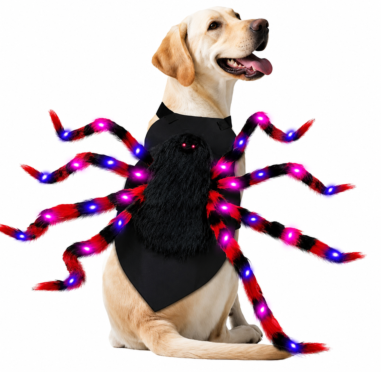 Spidey Dog ™