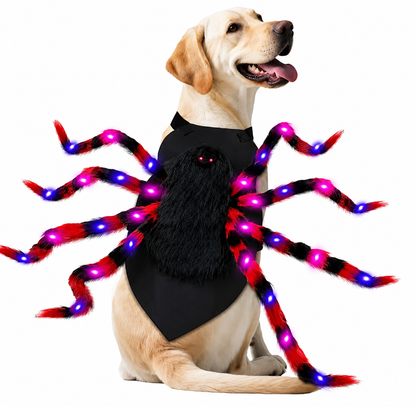 Spidey Dog ™