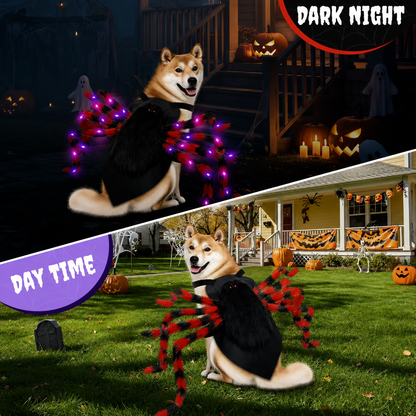 Spidey Dog ™